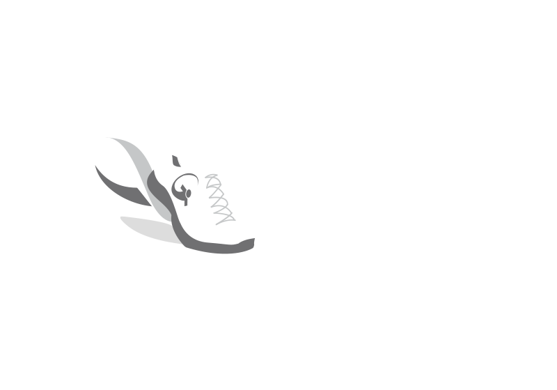 Logo FEEPEQ